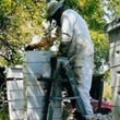 Beekeeper on ladder
